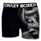 Lot de 5 boxers CRAZY BOXER