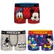 Lot de 3 boxers garçon  Disney  G1