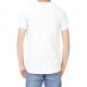T-Shirt homme Surf Rider