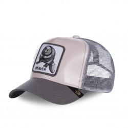 Casquette Baseball Goorin Bros Damn It Gris