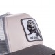 Casquette Baseball Goorin Bros Damn It Gris