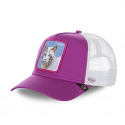 Casquette Baseball Goorin Bros Bite Back Rose