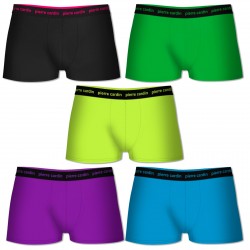 Boxers homme en coton 5 coloris assortis , PIERRE