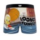 Lot de 4 boxers enfant Looney Tunes