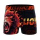 Lot de 4 boxers homme Wild Animals Garantie 2 ans