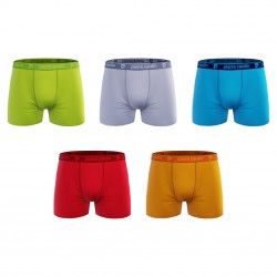 Lot de 5 boxers homme Colors