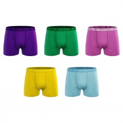 Lot de 5 boxers homme Colors