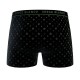 Lot de 2 boxers homme Casual