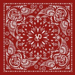 Bandana imprimé 50X50 cm