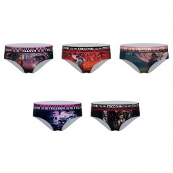 Lot de 5 culottes femme Fantasy