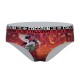 Lot de 5 culottes fille Fantasy