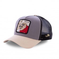 Casquette Capslab Disney Rapetou gris