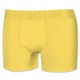 Boxer Boyz Coton Ultrakolorz