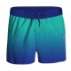 Boardshort Garçon Dégradé Bleu