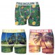 Lot de 3 boxers Garçon Freegun Sable Fin Multicolore