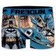 Lot de 5 boxers Homme Freegun DC Comics Multicolore