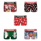 Lot de 5 Boxers Homme Freegun Lapins Crétins Christmas Multicolore