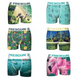 Boxers homme microfibre Packx6 Freegun E2